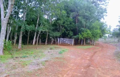 Terreno à venda na Avenida Bernardo Sayão, 2, Setor Centro Oeste, Goiânia