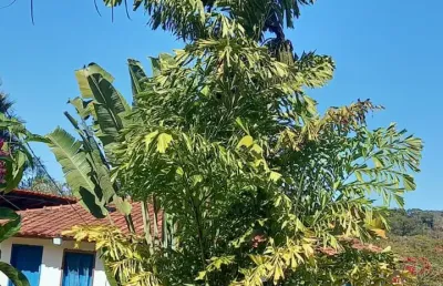 Fazenda com 2 salas à venda na Alameda do Botafogo, 20, Setor Central, Goiânia