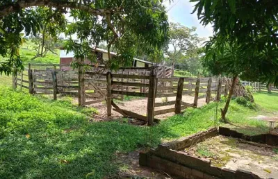 Fazenda com 2 salas à venda na Avenida Honestino Guimarães, 1, Setor Campinas, Goiânia