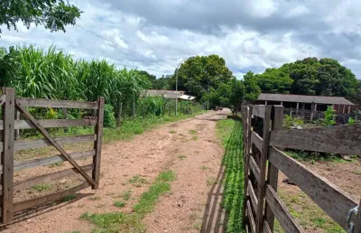 Fazenda com 2 salas à venda na Avenida Honestino Guimarães, Setor Campinas, Goiânia