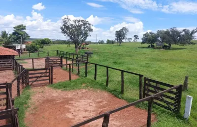 Fazenda com 3 salas à venda na Avenida Dorival de Carvalho, 2, Centro, Jataí