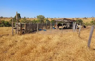Fazenda com 2 salas à venda na Praça Doutor Pedro Ludovico Teixeira, 6, Setor Central, Goiânia