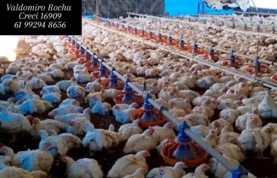Fazenda com 3 salas à venda na Núcleo Rural Incra 6, 2, Brazlândia, Brasília