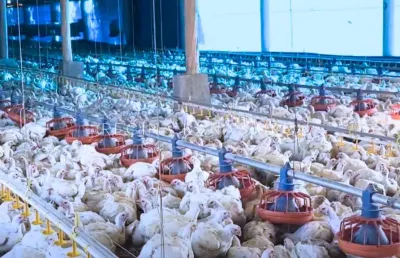 Fazenda com 4 salas à venda na Praça B, 5, Aeroviário, Goiânia