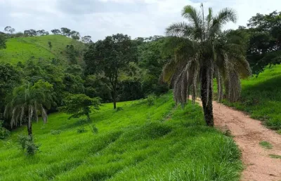 Fazenda com 2 salas à venda na Avenida Goiás, Setor Central, Goiânia