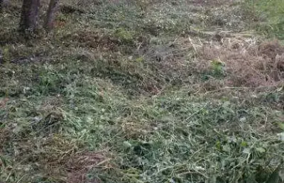 Terreno à venda em ubatumirim, ubatuba , 812 m2 por r$ 280.000