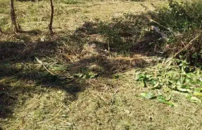 Terreno à venda no massaguaçu, caraguatatuba , 455 m2 por r$ 320.000