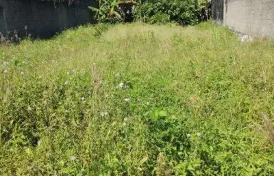 Terreno à venda no porto novo, caraguatatuba , 500 m2 por r$ 500.000