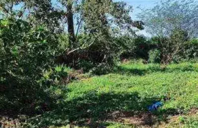 Terreno à venda no pegorelli, caraguatatuba , 257 m2 por r$ 125.000