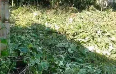 Terreno à venda no jardim rio claro, caraguatatuba  por r$ 110.000
