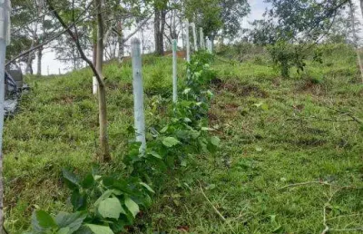 Terreno à venda no pegorelli, caraguatatuba , 2000 m2 por r$ 120.000