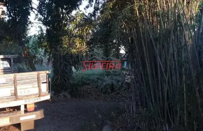 Terreno à venda na santa amélia, belo horizonte  por r$ 3.000.000
