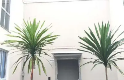 Apartamentos para venda em sorocaba no bairro caguaçu