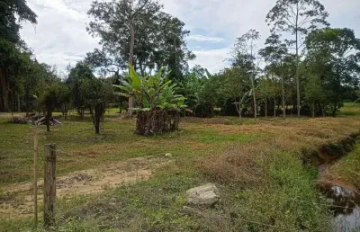 Chácara / sítio com 3 quartos à venda no Boa Vista, Ilhota 
