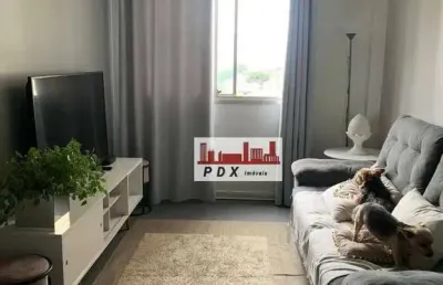 Oportunidade! apartamento a venda com 03 dormitórios-vila constança