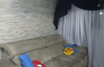 Apartamento para venda em são paulo, jardim santa terezinha, 2 dormitórios, 1 banheiro