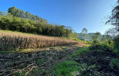 Sítio à venda, 2 quartos, são roque de castro - boa vista do sul/rs