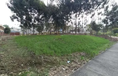 Terreno à venda, universitário - bento gonçalves/rs
