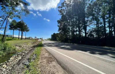 Área comercial à venda, linha são roque figueira de melo - garibaldi/rs