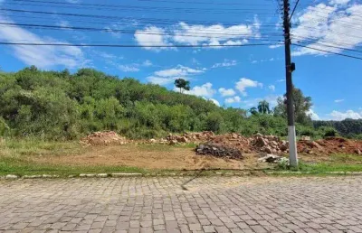 Terreno à venda na Rua Francisco D'arrigo, 451, Aparecida, Carlos Barbosa