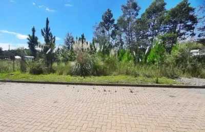 Terreno à venda na Loteamento Nona Regina, 33, Alfândega, Garibaldi
