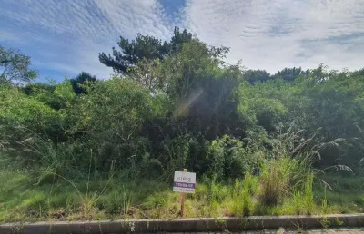 Lindo terreno no santo antão lote 135 loteamento reserva das araucárias