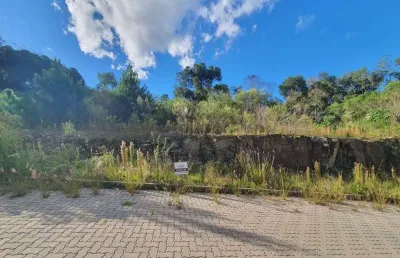 Lindo terreno no loteamento reserva das araucárias no santo antão
