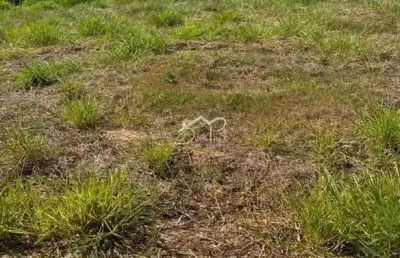 Terreno 326m2 à venda no condomínio clube casa do lago indaiatuba