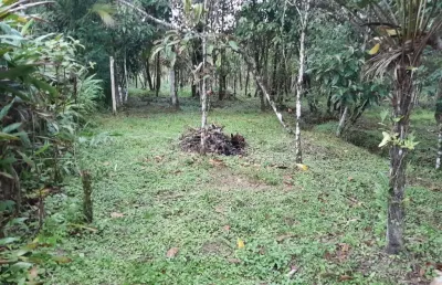 Casa no guaraú com  dois dormitórios 1760 metros quadrados
