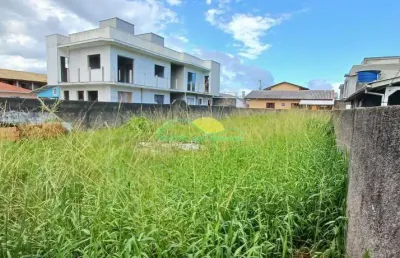 Terreno plano e murado de 360m² (12x30) com zoneamento arm-3.5 no alto ribeirão - ribeirão da ilha,