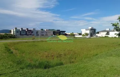 Terreno plano de 393,34m², plano, com escritura pública, no condomínio caminho do engenho i - campe