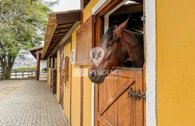 Lindo haras à venda em itatiba com 6 alqueires de terra