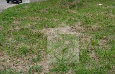 Terreno à venda, 240 m² por r$ 120.000 - pindobas - maricá/rj