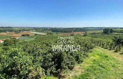 Chácara / sítio com 3 quartos à venda na Estrada Municipal Mário Covas, Macuco, Valinhos