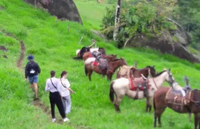 Chácara / sítio à venda na Rodovia Parati - Cunha, Baía de Paraty, Paraty