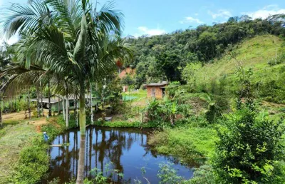 Chácara / sítio com 5 quartos à venda na Rua José Milton de Oliveira, 235, Prainha de Mambucaba, Paraty