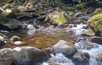 Chácara / sítio à venda na Estrada Pastor, 2522, Ubatumirim, Ubatuba