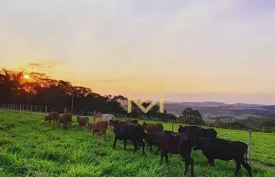 Sítio - 54.450 m² por r$ 1.900.000 - rio do salto - cascavel/pr