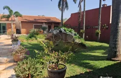 Casa com 4 quartos para alugar na Vila José Bonifácio, Araraquara 
