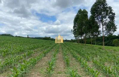 Fazenda à venda em esmeraldas-mg, são josé: 7 quartos, 4 salas, 5 banheiros, 10 vagas de garagem, 300m².