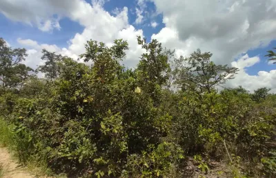 Terreno à venda em esmeraldas-mg, bairro campo alegre, 3.500,00 m² de área - oportunidade única!