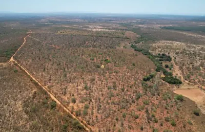 Venda de fazenda em morro da garça - 271,11 hectares, pastagem, casa, curral e lagoa | r$4.000.000