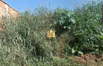 Terreno à venda em fernão dias ? 450m², plano, r$100 mil