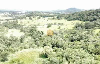 Fazenda caio martins ? 34,5 ha com casa e estrutura completa