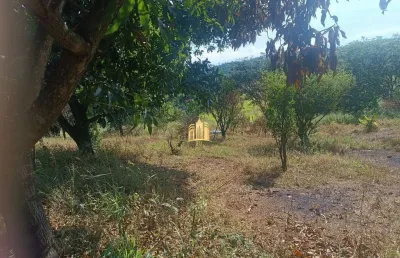 Sítio à venda condomínio sete lagos: 3 casas, 6 quartos e pomar!