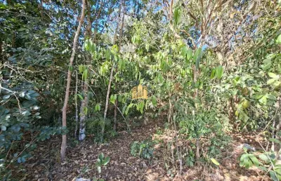 Terreno 4 hectares plano esmeraldas rural ? 15km centro ? r$ 250 mil