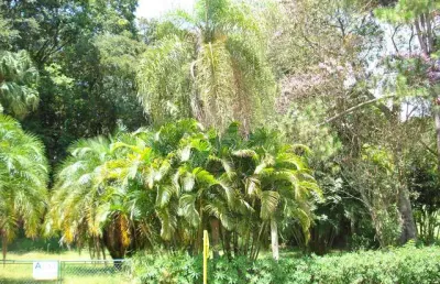 Terreno em condomínio fechado à venda na Rua Y 1, Quadra 17 - Lote 34 - Sem Complemento, City Castelo, Itu