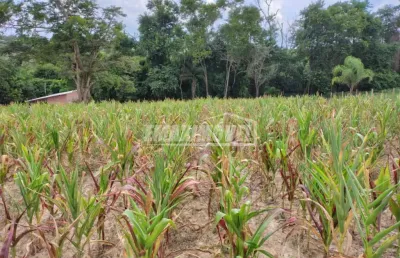 Terreno à venda na Travessa Da Estrada De Capanema, 225, Centro, Araçoiaba da Serra