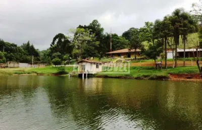 Sítio com 5 suítes, piscina e espaço gourmet em são roque/sp!