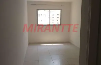Apartamento de 55m² com 2 quartos em santa terezinha